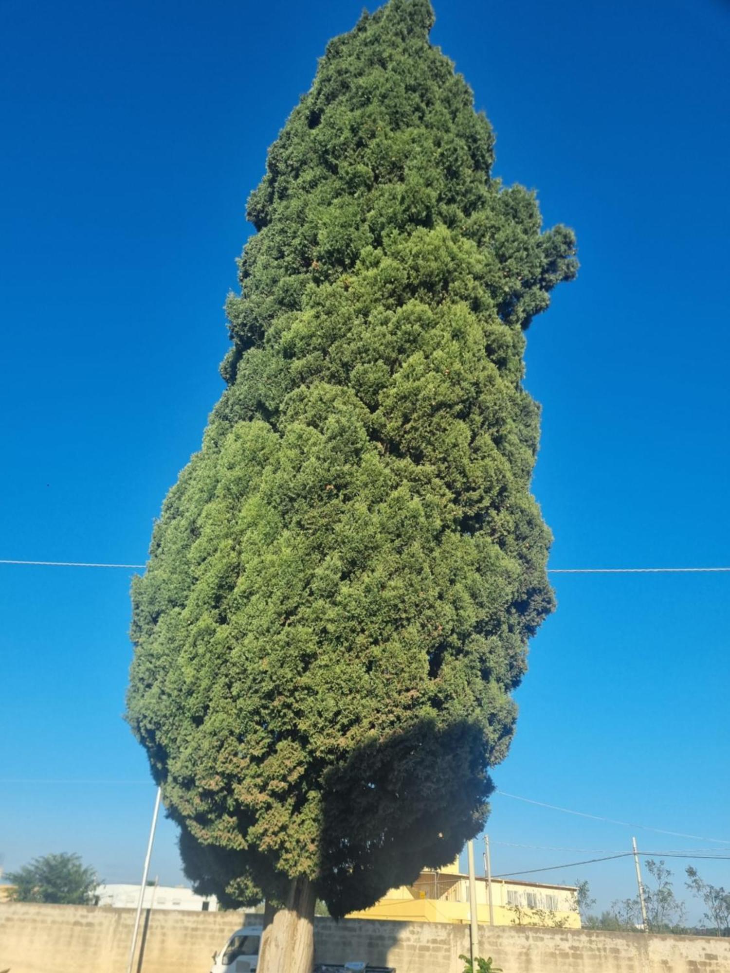 L'Albero Bello Holiday มาซารา เดล วัลโล ภายนอก รูปภาพ